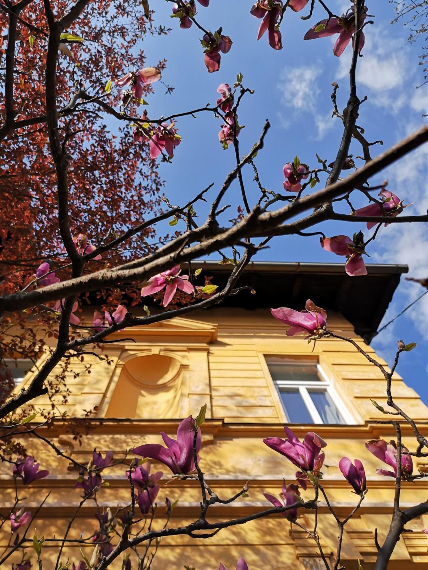 The Villa, Ljubljana City Center المظهر الخارجي الصورة